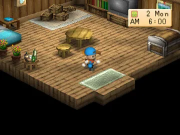 Harvest Moon - Back to Nature (US) screen shot game playing